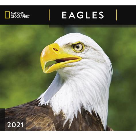 A place for eagles fans to come together to discuss the team, latest news and rumors. Eagles National Geographic Wall Calendar - Calendars.com