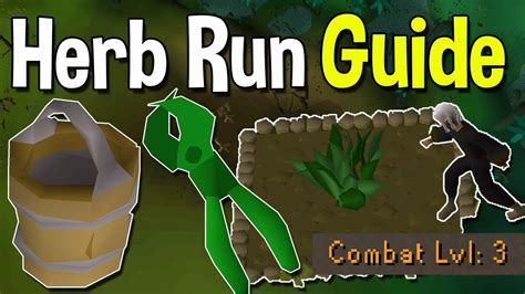 How to Complete Your First Herb Run From Scratch! A Beginner Guide to a