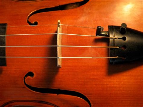 Violins Of Plymouth The Stradivarius Violin