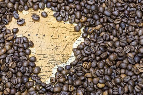 The Worlds Largest Exporters Of Coffee Worldatlas