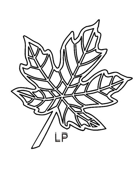 Liść klonu | Flower tattoo, Lotus flower tattoo, Flowers