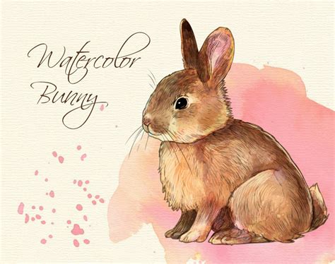 Watercolor Cute Bunny Clipart Etsy Watercolor Illustration Clip