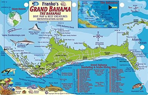 Bahamas Fish Card Grand Bahama 2010 By Frankos Maps Ltd Grand