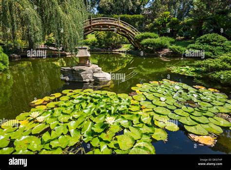 The Beautiful Japanese Garden Of The Huntington Library And Botanical