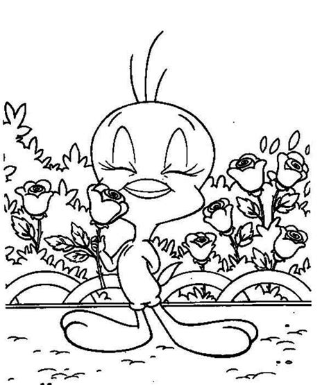 Tweety Bird Smelling Flower Coloring Page Kids Play Color