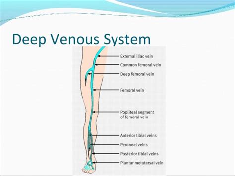 Venous Insufficiency Dvt Final Year Mbbs Lecture