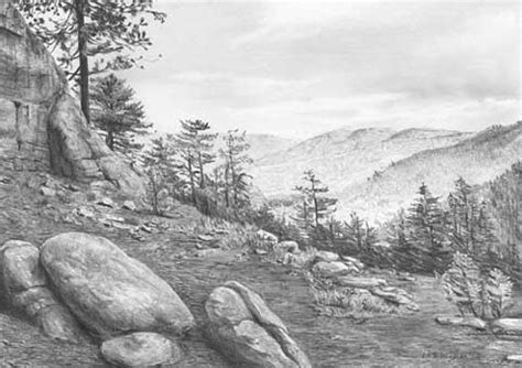 Curso de dibujo "Aprender a dibujar"