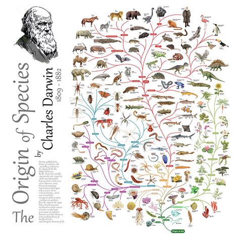 Charles Darwin Origin Of Species