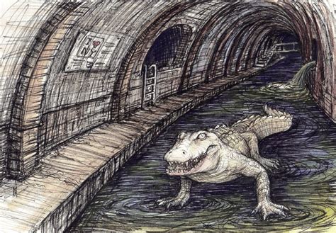 Sewer Alligator Cryptid Wiki Fandom