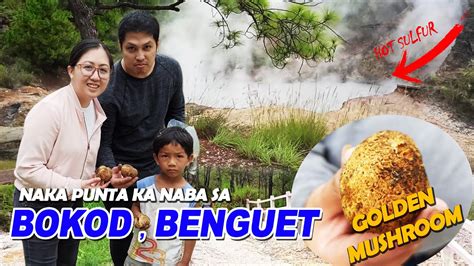 Daclan Bokod Benguet Adventure Golden Mushroom Badekbek Sulfur Spring Youtube