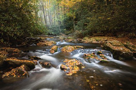 Autumn Forest Stream Photograph By Scott Slone Pixels