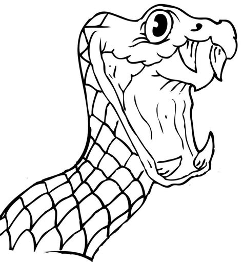 Are you looking for the best images of snake drawing? Cobra Snake Head Drawing at GetDrawings | Free download