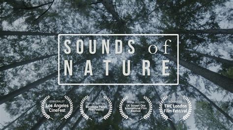 Sounds Of Nature Youtube