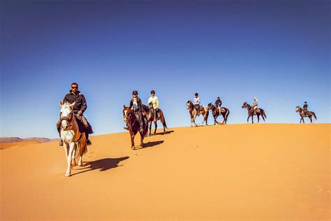 Go On An Exciting Desert Trail Ride In The Sahara Morocco Equus Journeys