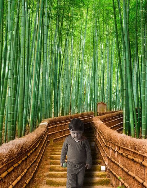 Chinese Bamboo Wall Decal Tree 332 Forest Wall Mural Bamboo