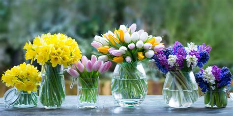 The Best Spring Flowers To Send This Spring Appleyard London