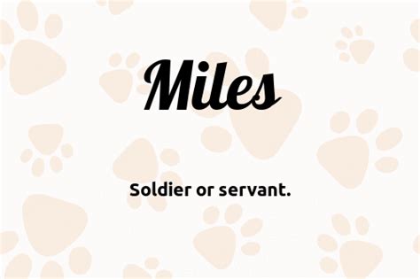 Miles 🐶 Dog Name Meaning And Popularity