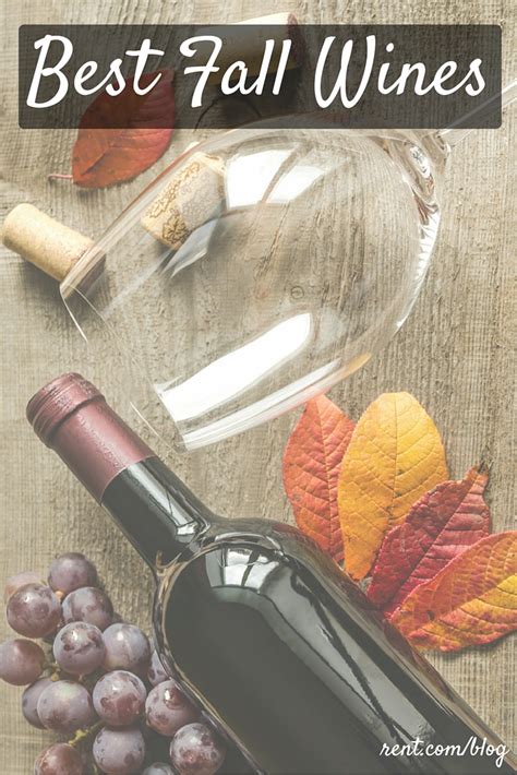 The Best Wines For Fall Rent Blog