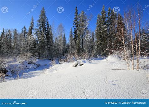 Siberian Taiga At The River Olkha In The Baikal Region In Winter Stock