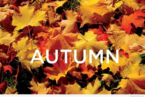 Best Autumn Wallpapers Quotes Sayings Images Hd