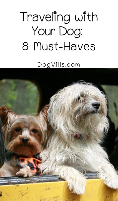 Traveling With Your Dog 8 Essentials To Pack Dogvills