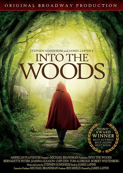 Best Buy Into The Woods Dvd 1990