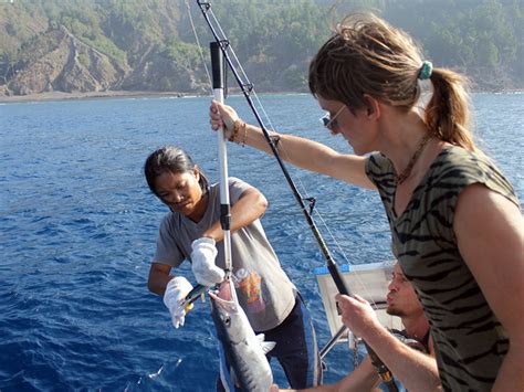 To catch the uncatchable ep19. Fishing in Thailand -Catch the Big Fish › Sailing Phuket ...