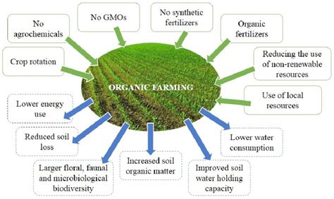 The Main Principles And Effects Of Organic Farming Download