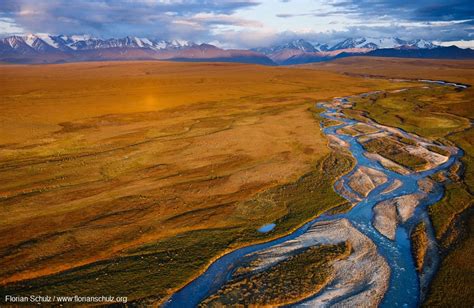 Why You Should Care About The Arctic Refuge Even If You Never Go