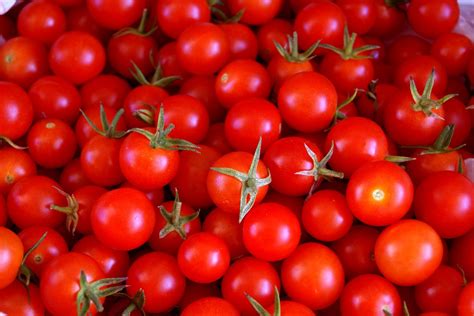 Semillas De Tomate Cómo Conservar La Simiente De Distintas Variedades