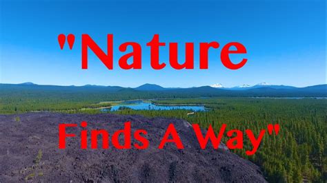 Nature Finds A Way Youtube