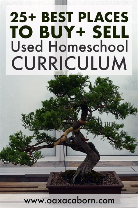 Where to Buy Used Homeschool Curriculum | Used homeschool curriculum