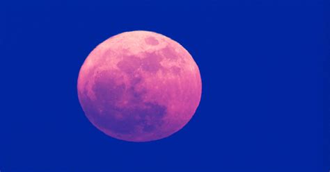 According to nasa, there will be two supermoons in 2021. What The Super Pink Moon Means For Your Sign April 2020