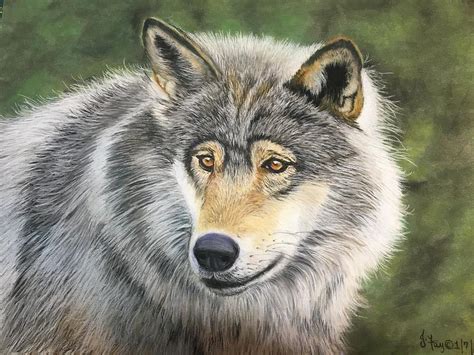 Grey Wolf Painting By Joan Koser Fine Art America