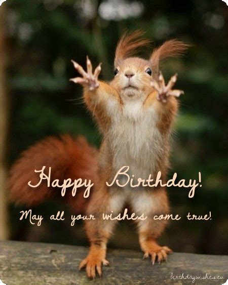 If anyone forgets to wish you on your day, chances are high that you will never forget that they didn't. Top 50 Funny Birthday Wishes For Friend And Humorous ...