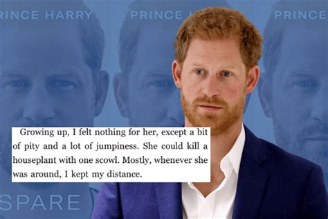 Prince Harry Spare Stories That Missed Headlines