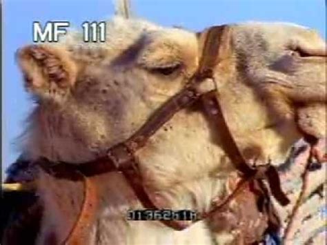How can i go about invoking a method or methods to run only once right after camel startup is complete? Triconsonantal