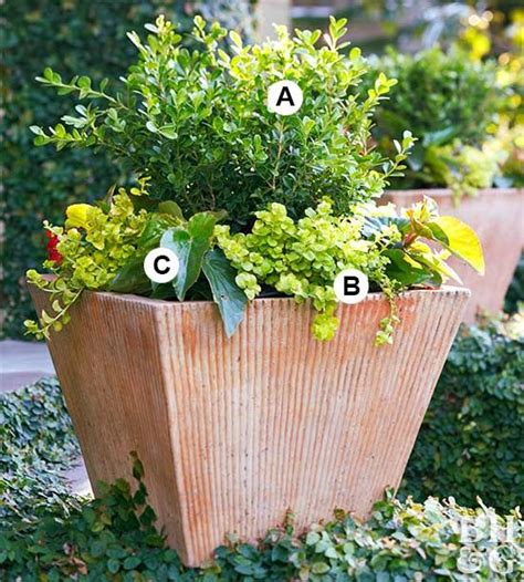 You Can Make This Super Easy Shade Container Garden Container