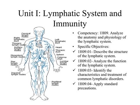 Unit I Lymphatic System And Immunity