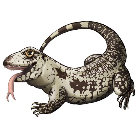 Tegu Lizard Decalsticker For Sale Tikisgeckos
