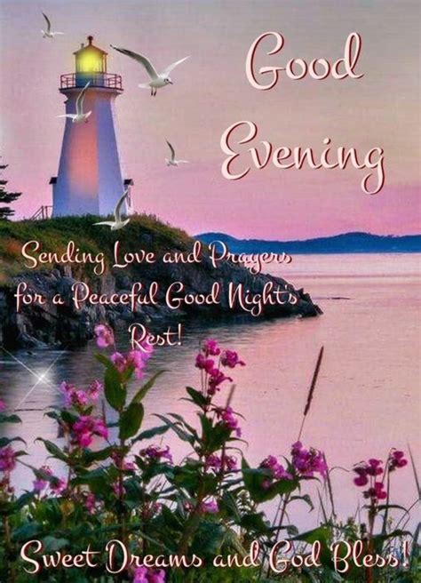 10 Cute Good Evening Quotes For The Night Good Night Blessings Good