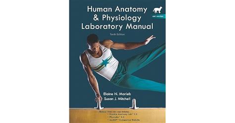 Human Anatomy Laboratory Manual With Cat Dissections 9th Edition Answer Key