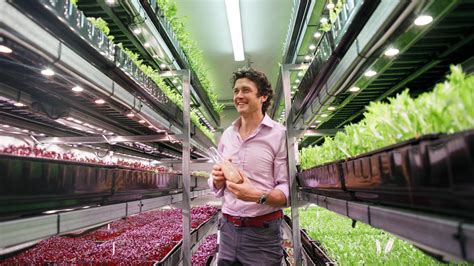 Brookvale Warehouse Converted To Sprout Stack Indoor Veggie Farm Where