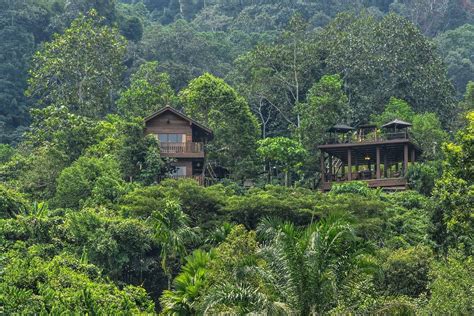 Mari house 님의 아이디어 더 보기. Templer Park Rainforest Retreat - Villa - Guesthouses for ...