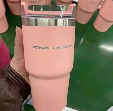 Pink Stanley Starbucks Tumbler Cup Etsy