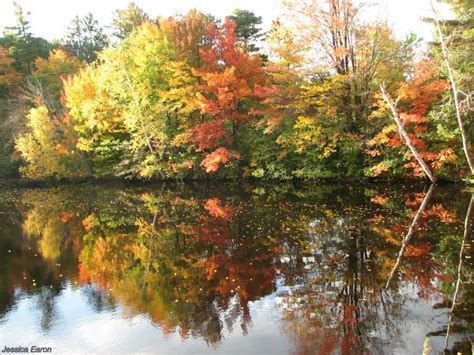 Autumn Reflections In Rhinelander Wi Wisconsin Michigan Rhinelander