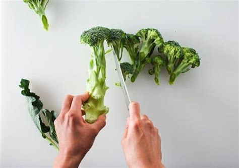 While beans are difficult to digest, there's no reason to leave them totally out of your cat's diet. 14 Creative Ways To Re-use Kitchen Waste You've Probably ...