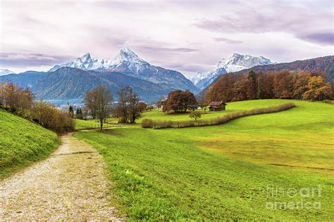 Green Bright Meadow Path And Famous Watzmann Mountain On A Background