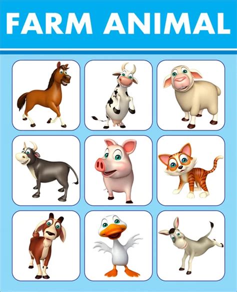 Farm Animal Chart Stock Photo By ©visible3dscience 102408762