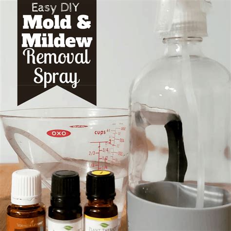 Homemade Mildew Removal Spray Mold Too Midwest Modern Momma